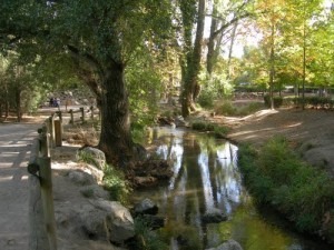 promenade de la torse