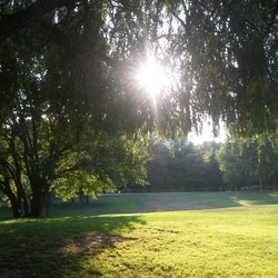 promenade-de-la-torse