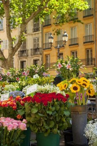 marché aux fleurs place mairie aix en provence
