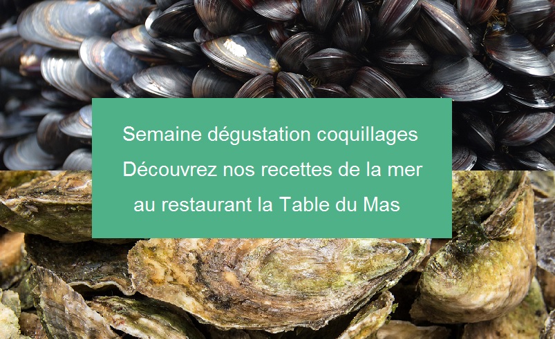 moules et huites au restaurant