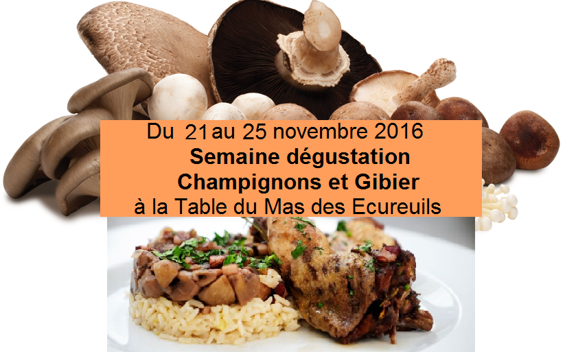 champignons et gibier restaurant aix en provence
