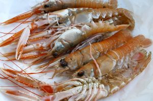 Recettes-langoustines