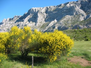 La_montagne_sainte_victoire_de_près1-300x225